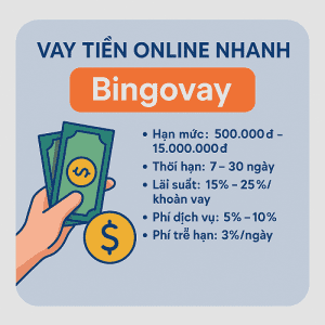 Bingovay app