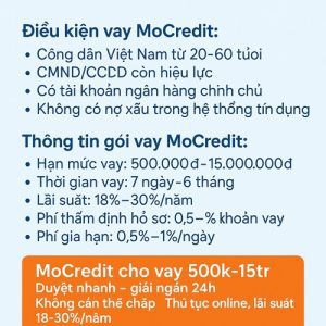 MoCredit vay