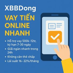 XBBDong 10 XBBDong