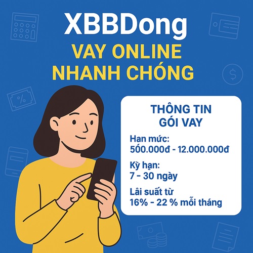 XBBDong XBBDong