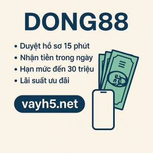 OkCredit 11 dong88
