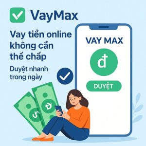 VayMax
